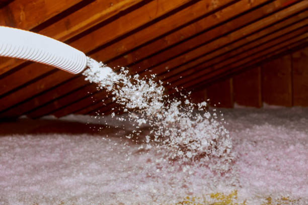 Best Insulation Installation Services in Allendale, CA