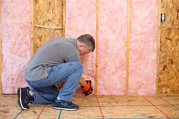 Best Types of Insulation in Allendale, CA