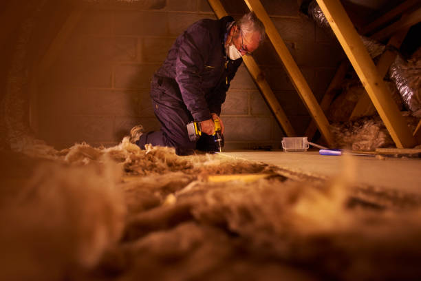 Best Insulation Installation Services in Allendale, CA